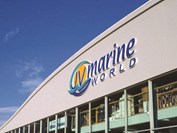 JV Marine